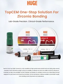 Zirconia Bonding Solution
